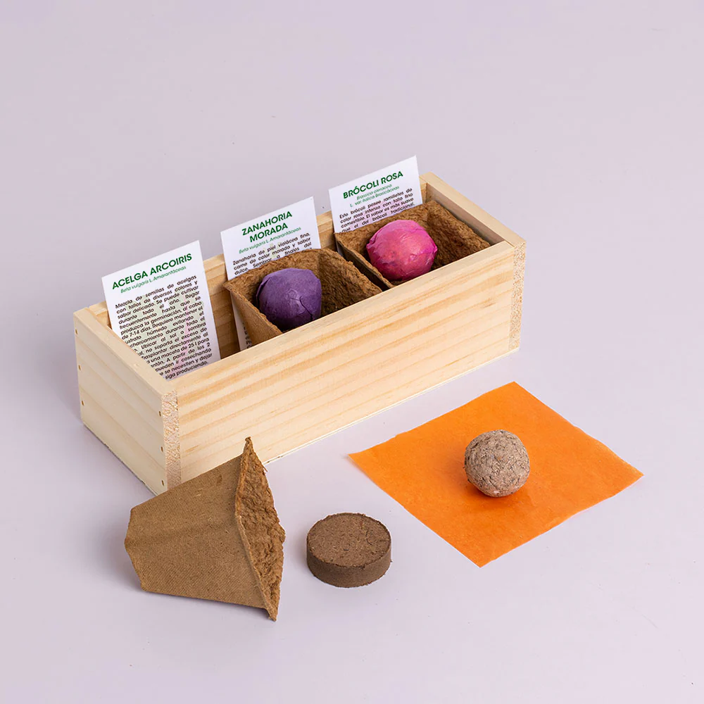 Mini Huerto De Extrañas Hortalizas (acelga Arcoíris, Zanahoria Morada Y Brócoli Rosa) | Regalo Original - Image 2