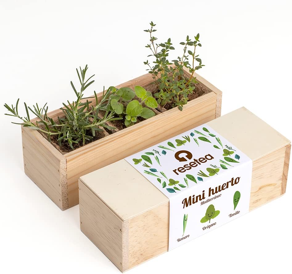Mini Huerto Mediterráneo | Kit Cultivo Aromáticas (romero, Orégano Y Tomillo) | Huerto Urbano En Casa | Regalo Original