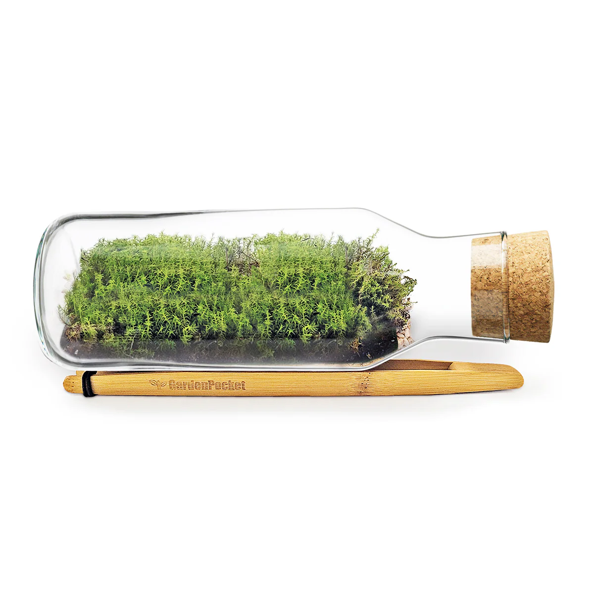 Mossarium Diy - Inlcuye Musgo Natural