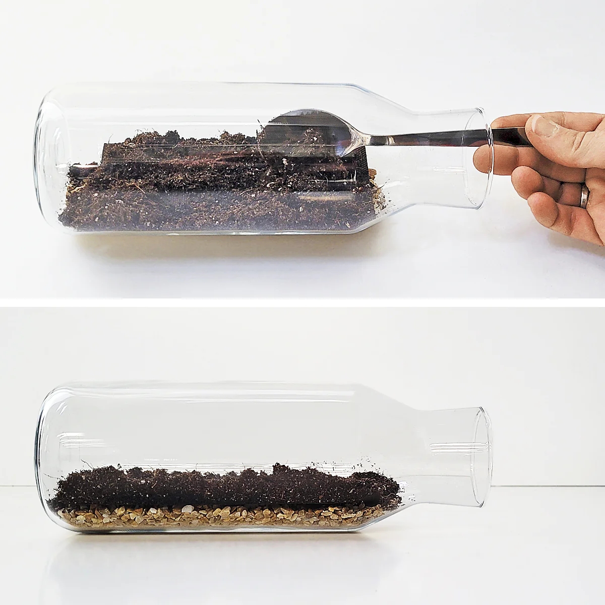 Mossarium Diy - Inlcuye Musgo Natural - Image 5