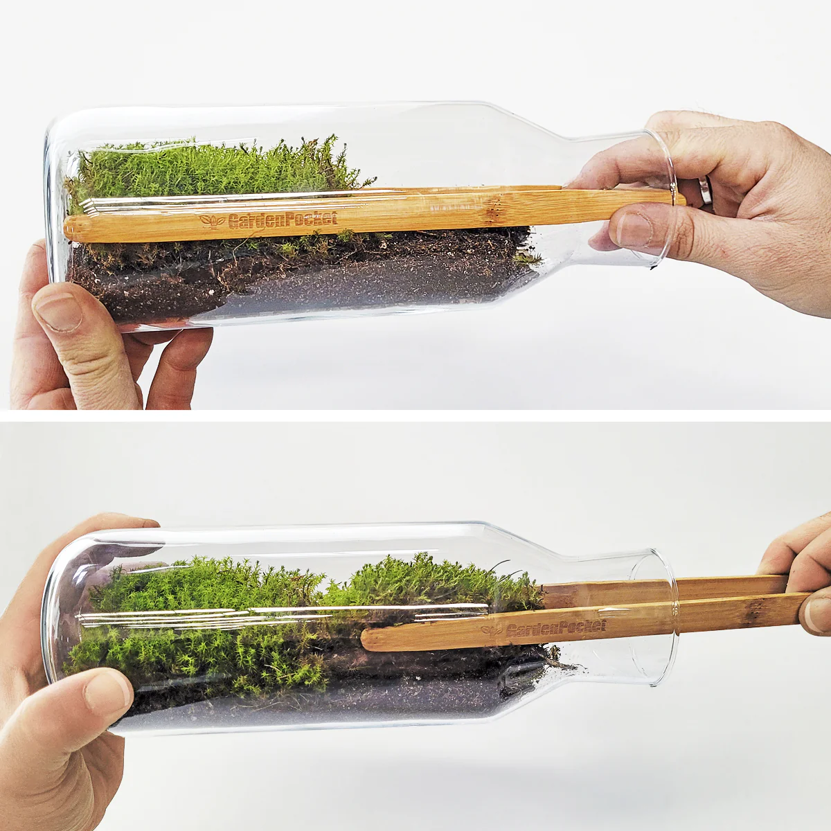 Mossarium Diy - Inlcuye Musgo Natural - Image 6