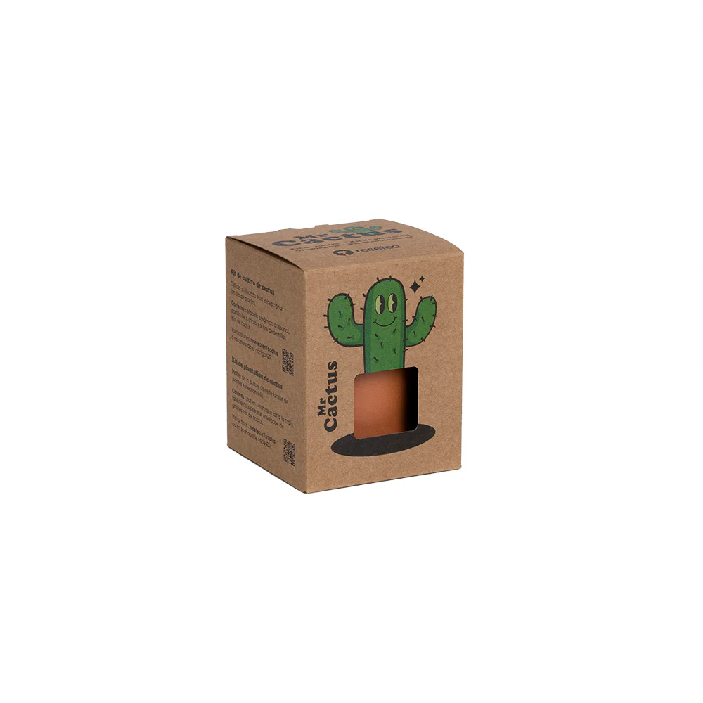Mr. Cactus | Kit De Cultivo De Cactus Con Maceta De Barro Artesanal