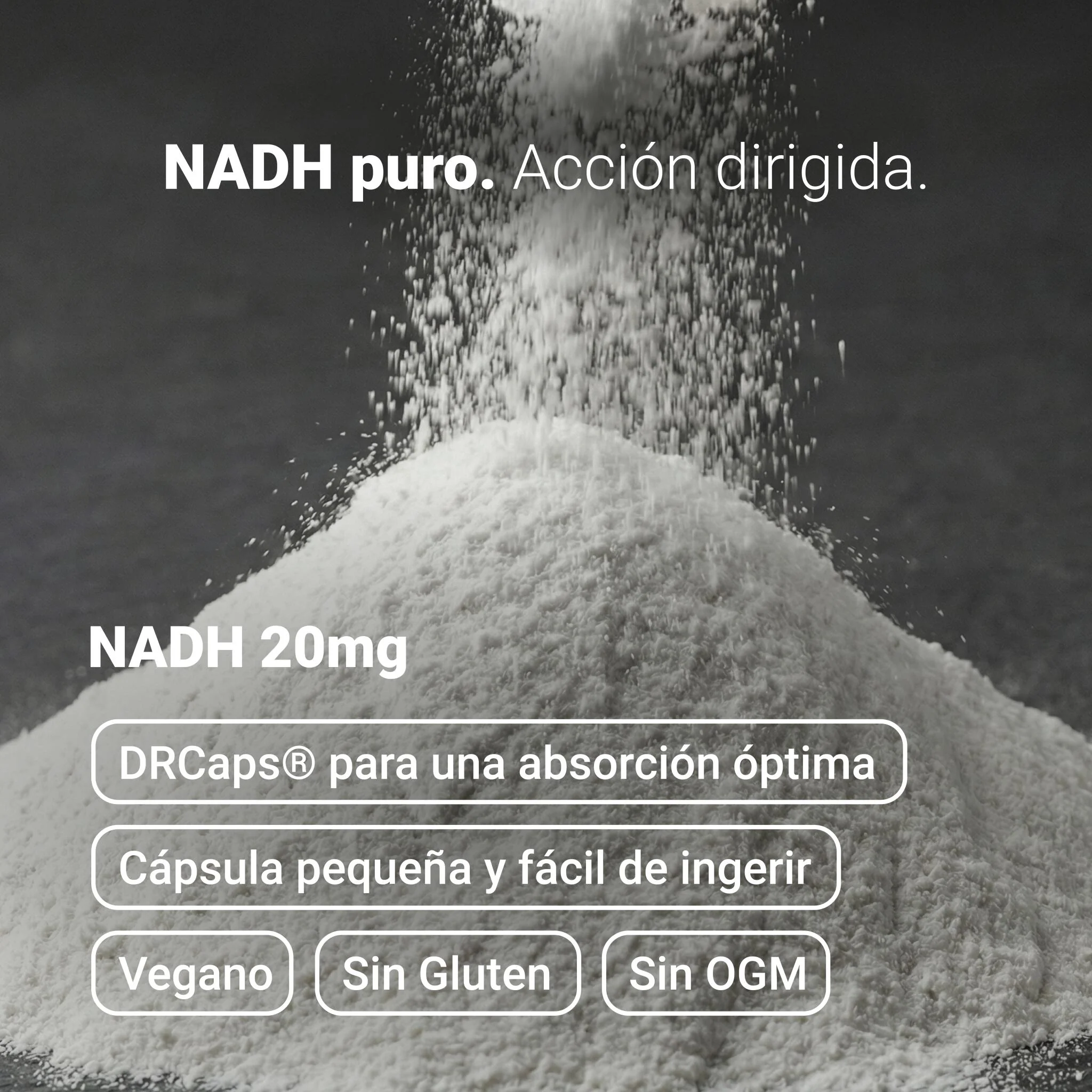 Nullure Nadh 20 Mg, 90 Cáps (3 Meses) - Image 4