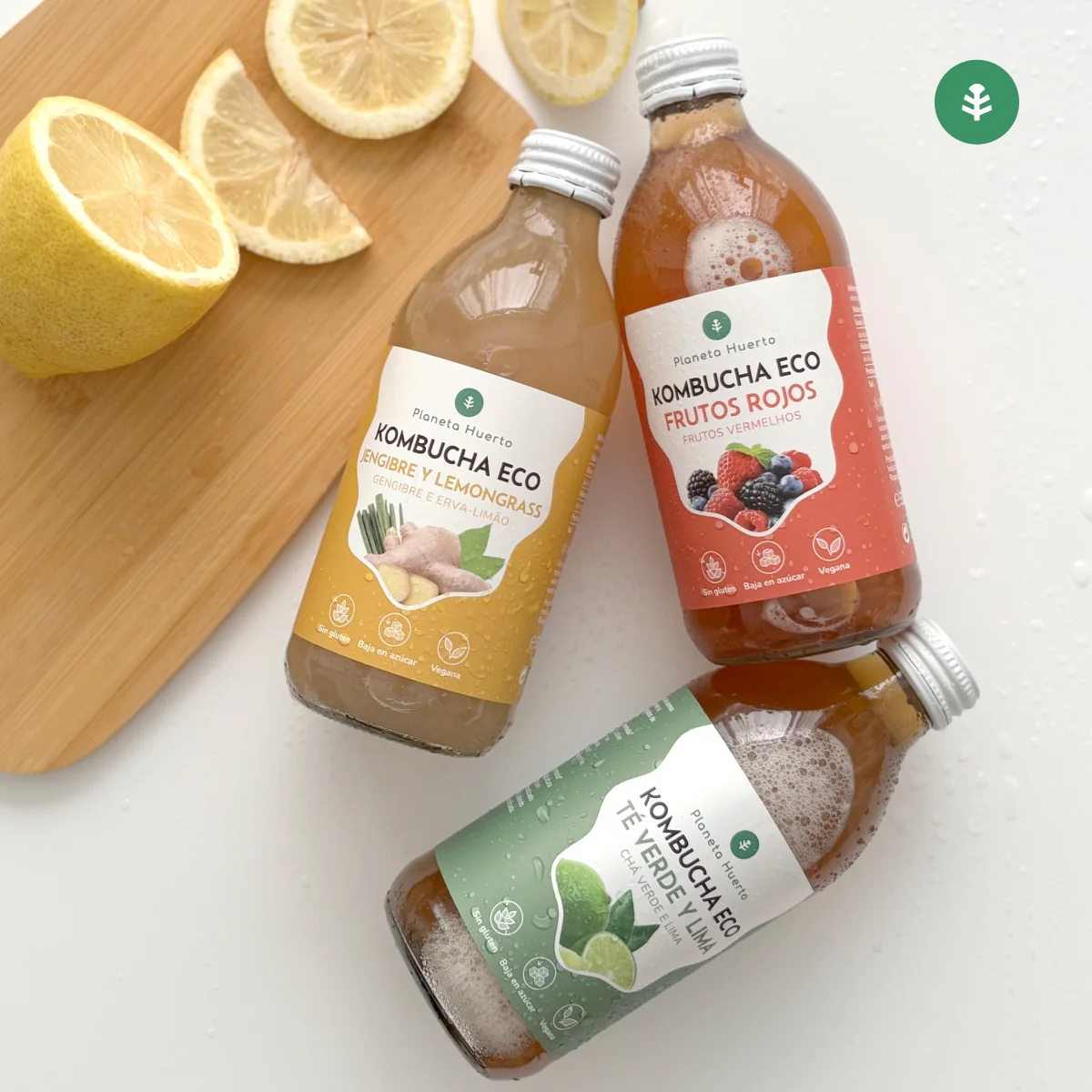 Pack 12x Kombucha ECO Jengibre y lemongrass Planeta Huerto 330 ml - Image 5