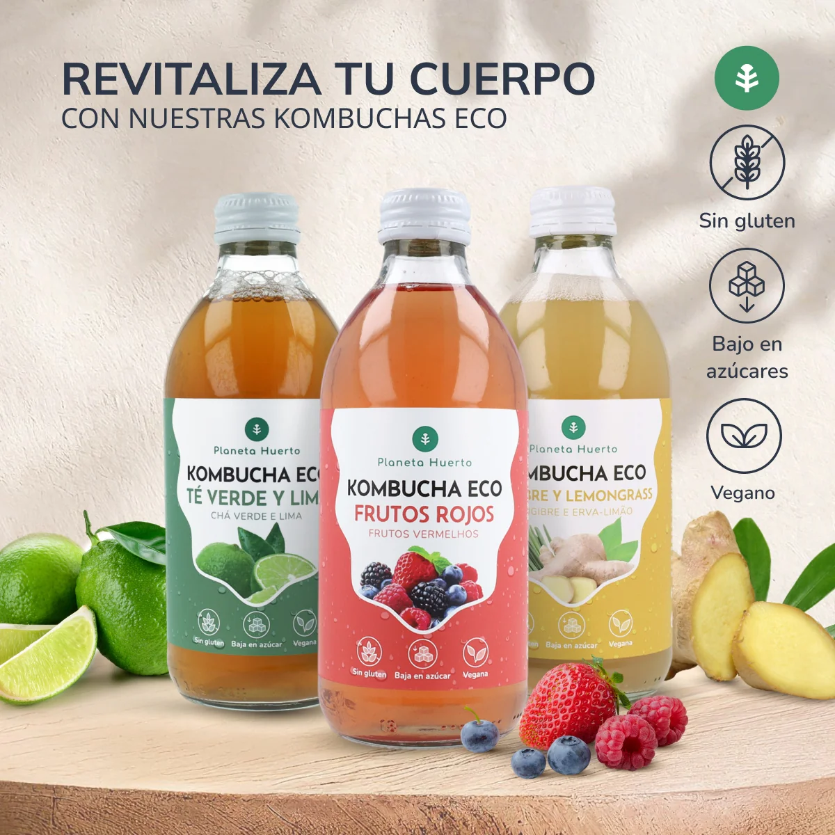 Pack 12x Kombucha ECO Jengibre y lemongrass Planeta Huerto 330 ml - Image 7