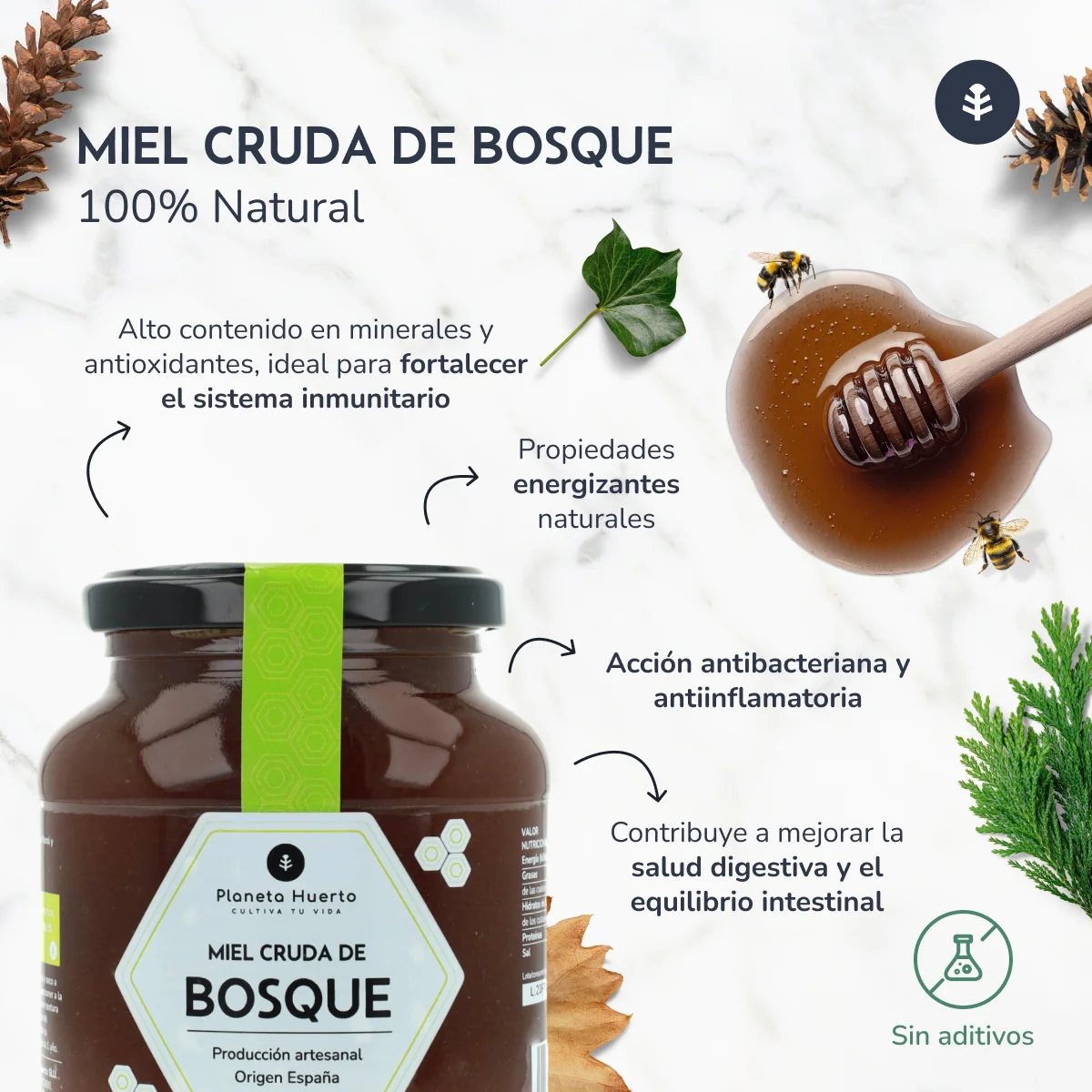 Pack 6x Miel Cruda de Bosque Planeta Huerto 1 Kg - Image 5