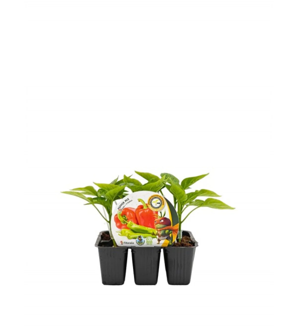 Pack Plantones Injertados Pimientos Pepper Mix 6 Ud. Natural - Fitoralia