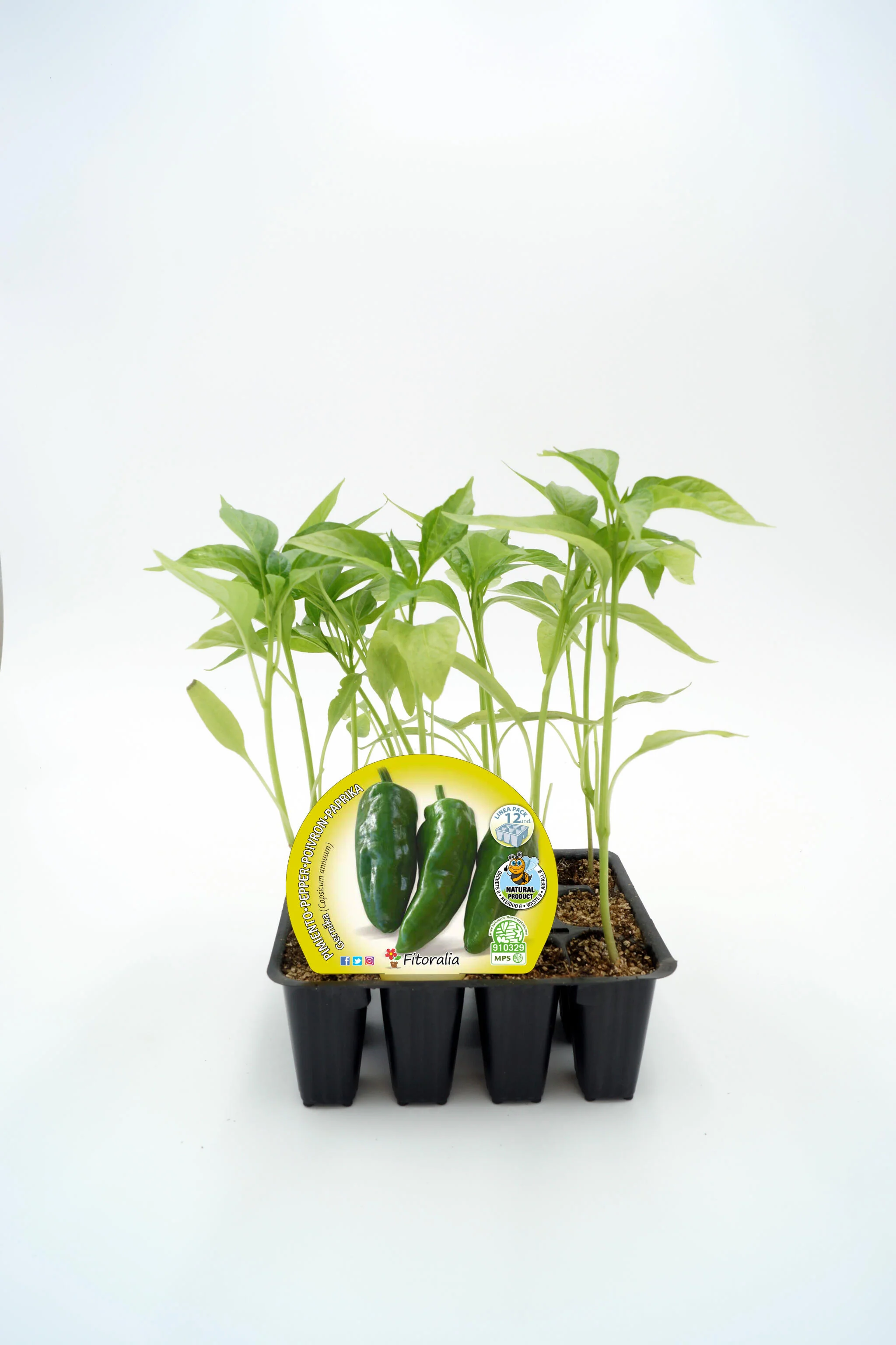 Pack Plantones Pimiento Gernika 12 Ud. Natural - Fitoralia