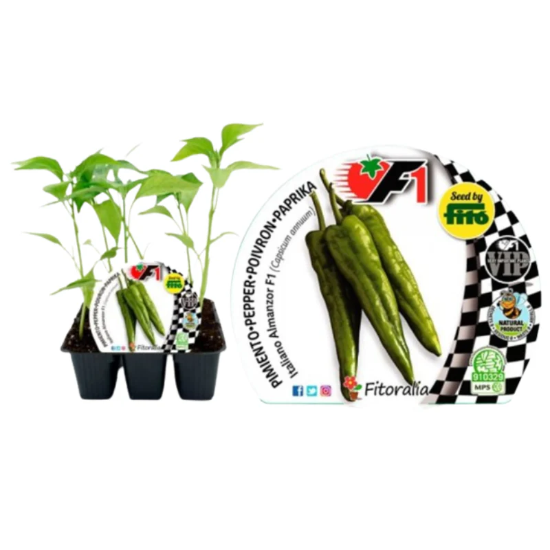 Pack plantones pimiento Italiano Almanzor híbrido 6 ud. natural - Fitoralia