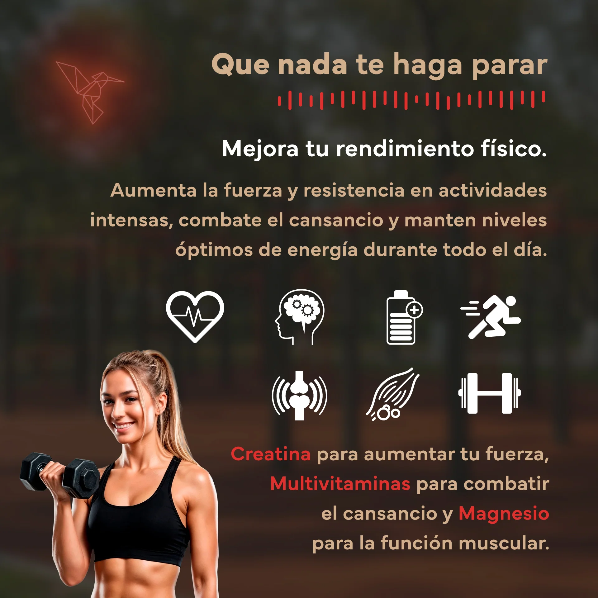 Pack Rendimiento. Con Creatina, Magnesio y Multivitaminas. Sevens Nutrition. Energía y Rendimiento - Image 5