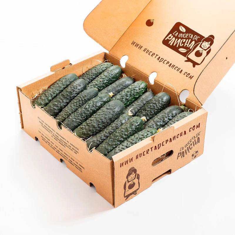 Pepinos Directos Desde El Campo 1/2 Kg - Image 3