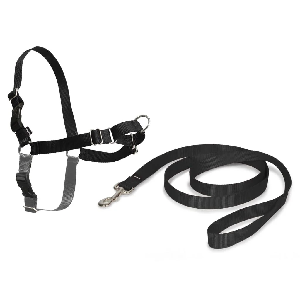 Petsafe Arnés Para Perros Easy Walk Negro M