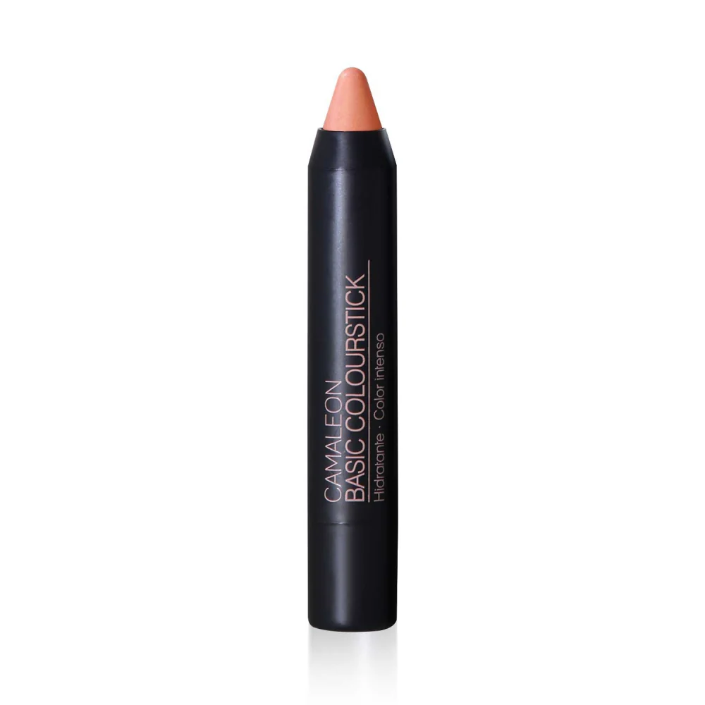 Pintalabios Arena Basic Colourfun 4g Camaleon Cosmetics