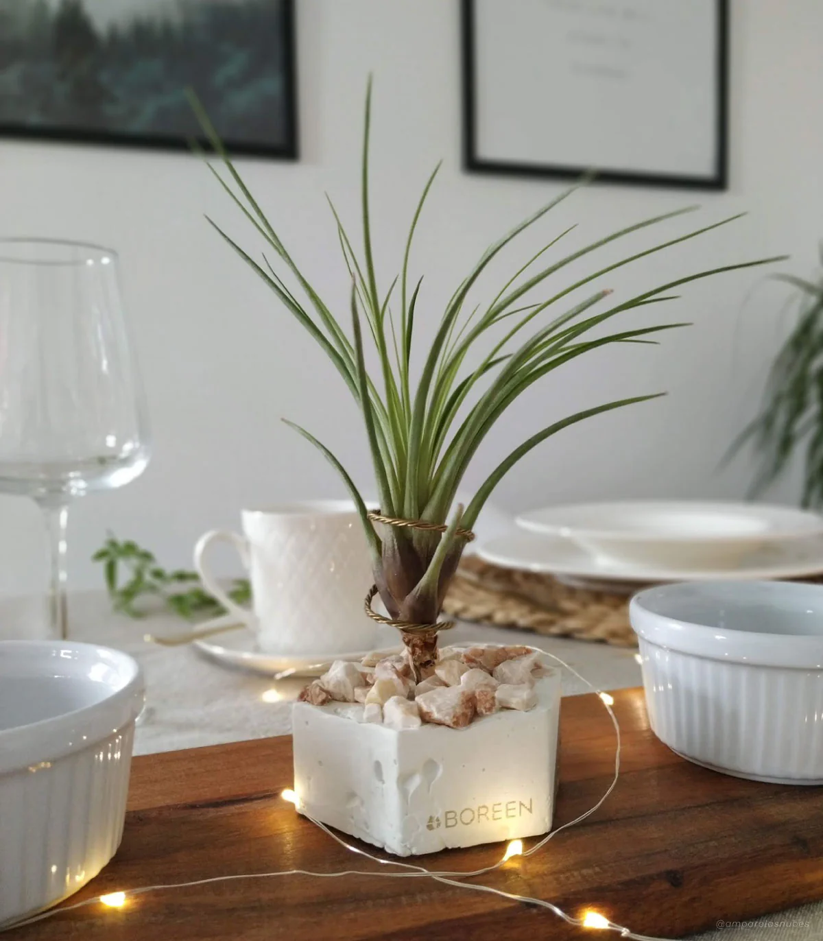 Planta De Aire Tillandsia Tricolor Con Hexágono De Cemento Y Piedras Rosadas - Image 2