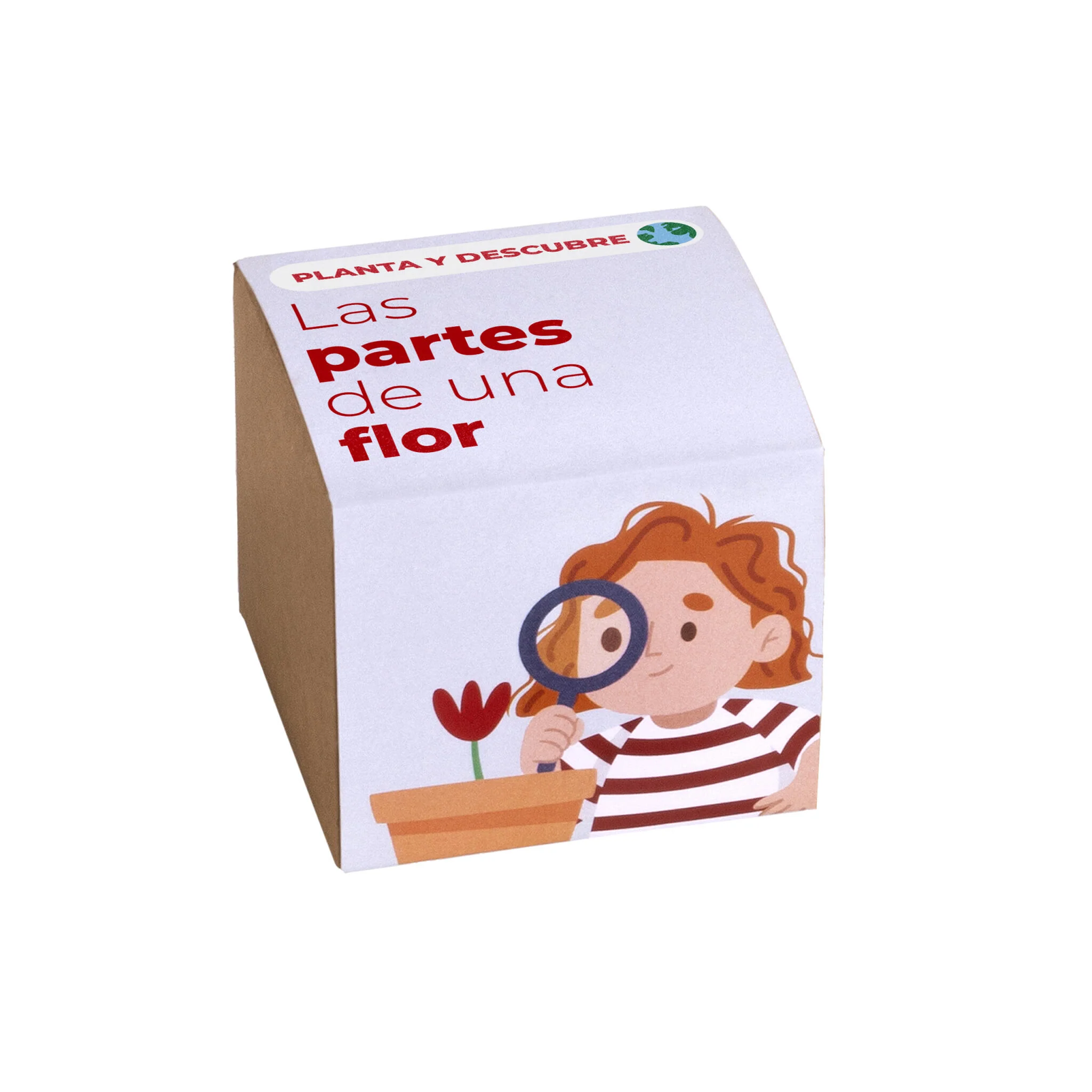 Planta Y Descubre | Kit Educativo Partes De Una Flor | Aprende Botánica Paso A Paso Para Niños (stem)