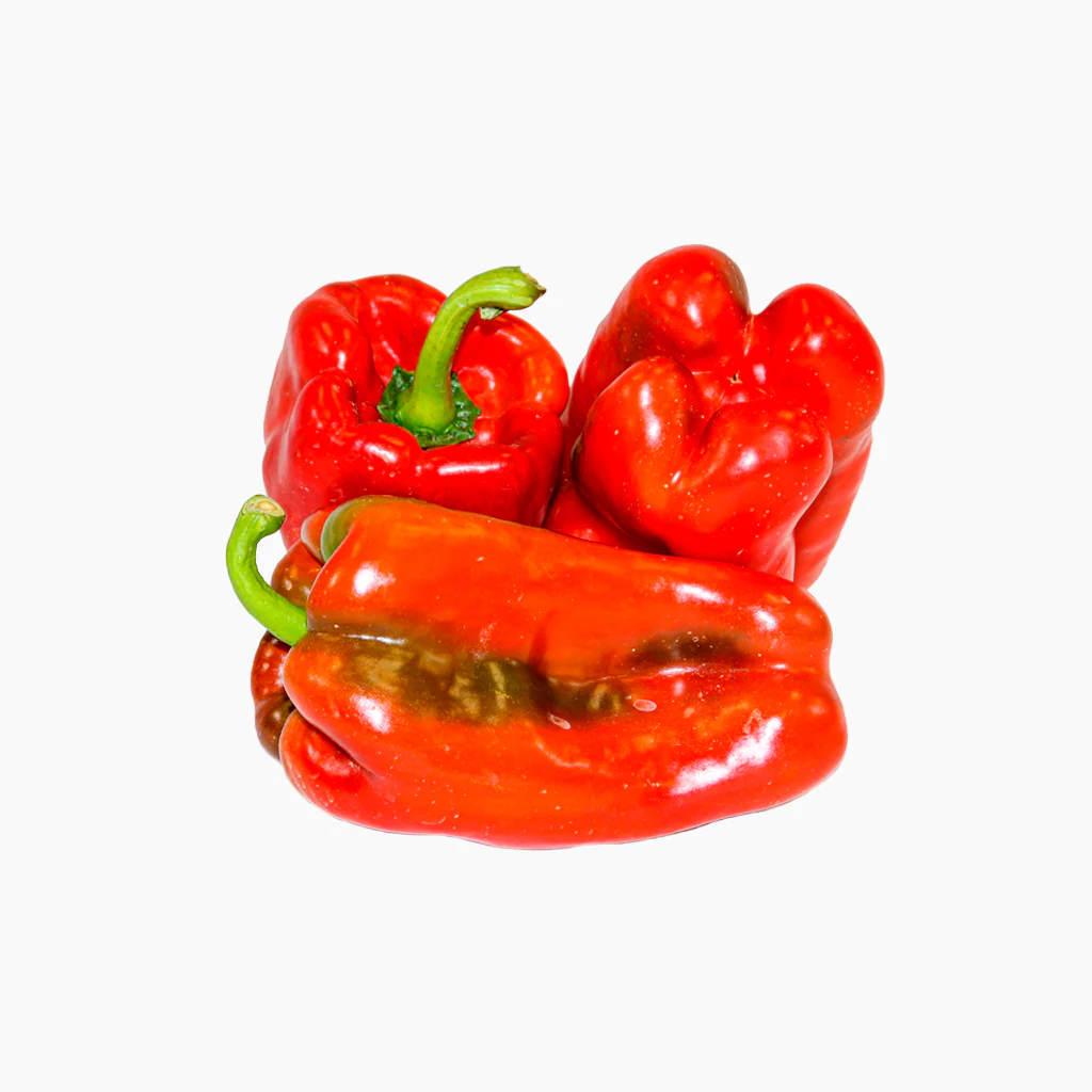 Plantón Pimiento Rojo 6 Unidades - Plantabo - Image 2