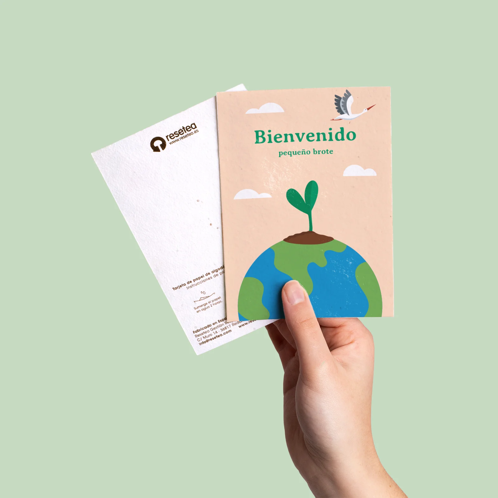 Postal Plantable Bienvenido Con Semillas De Zanahoria – Regalo Original Que Florece Para Recién Nacidos | Resetea - Image 4