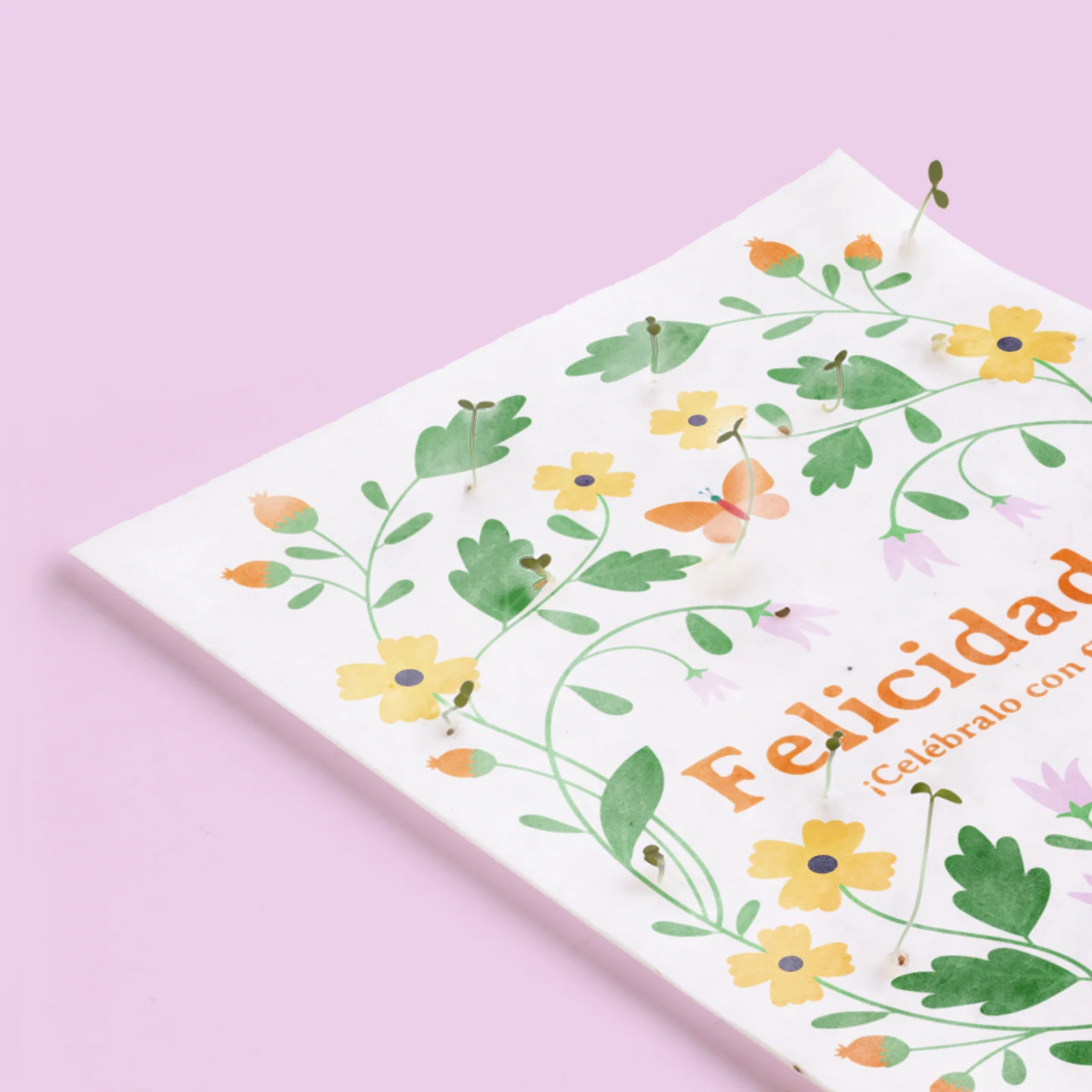 Postal Plantable Felicidades Con Semillas De Flores – Tarjeta Que Florece, Regalo Especial Con Significado | Resetea - Image 3