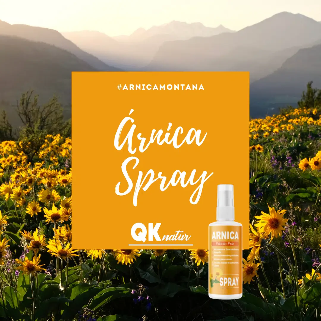 QKnatur - Arnica Spray Con Extracto De Garra Del Diablo (harpagofito) 100ml. - Efecto Frío. Dolor Muscular - Image 2