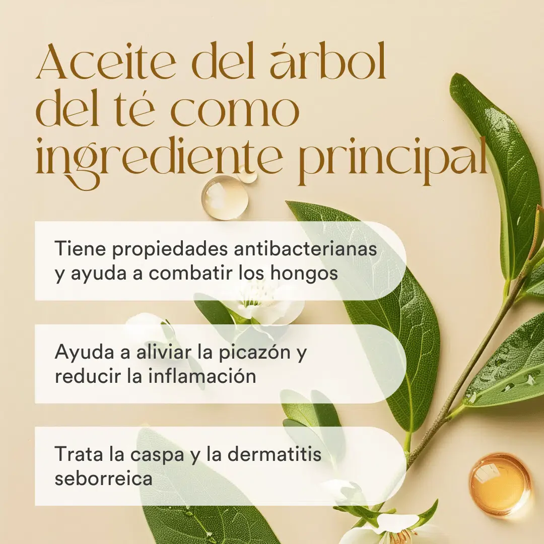 QKnatur - Champú Aceite Del Árbol Del Té 250 Ml. Elimina Caspa. Para El Picor Y La Irritación. Cuero Cabelludo Sensible - Image 3