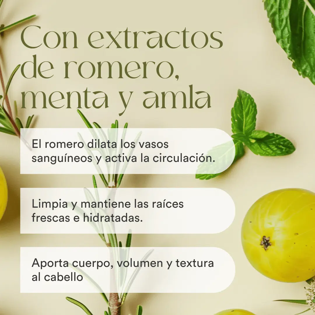 QKnatur - Champú Con Extracto De Romero 250 ml. Con Activos Para Fortalecer Y Reparar. Cabello Fino O Dañado - Image 3