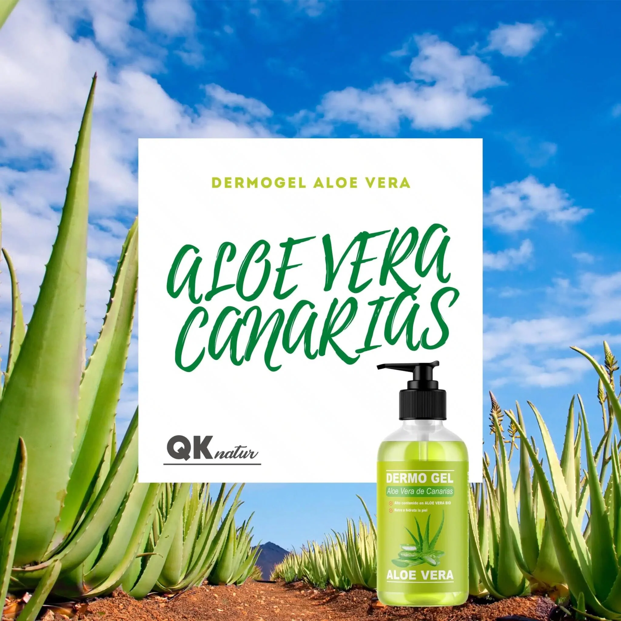 QKnatur - Dermo Gel Aloe Vera De Canarias Bio - Efecto Calmante, Nutre E Hidrata La Piel Para Cara Y Cuerpo - 250 Ml - Image 2