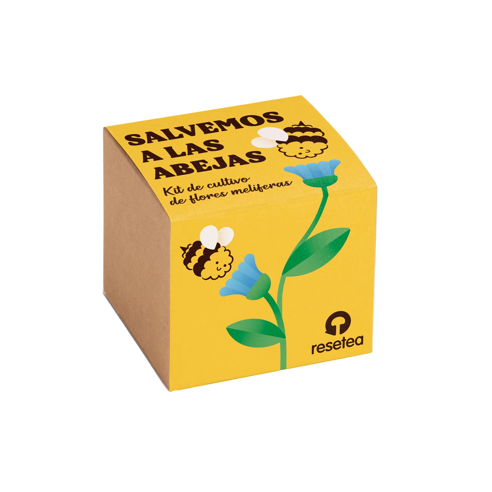 Salvemos A Las Abejas | Kit Cultivo Flores Melíferas Con Bomba De Semillas Para Polinizadores | Regalo Educativo