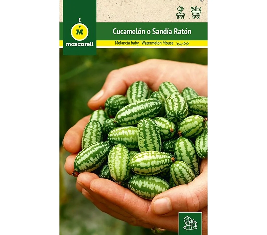 Semillas Cucamelón-sandía Ratón