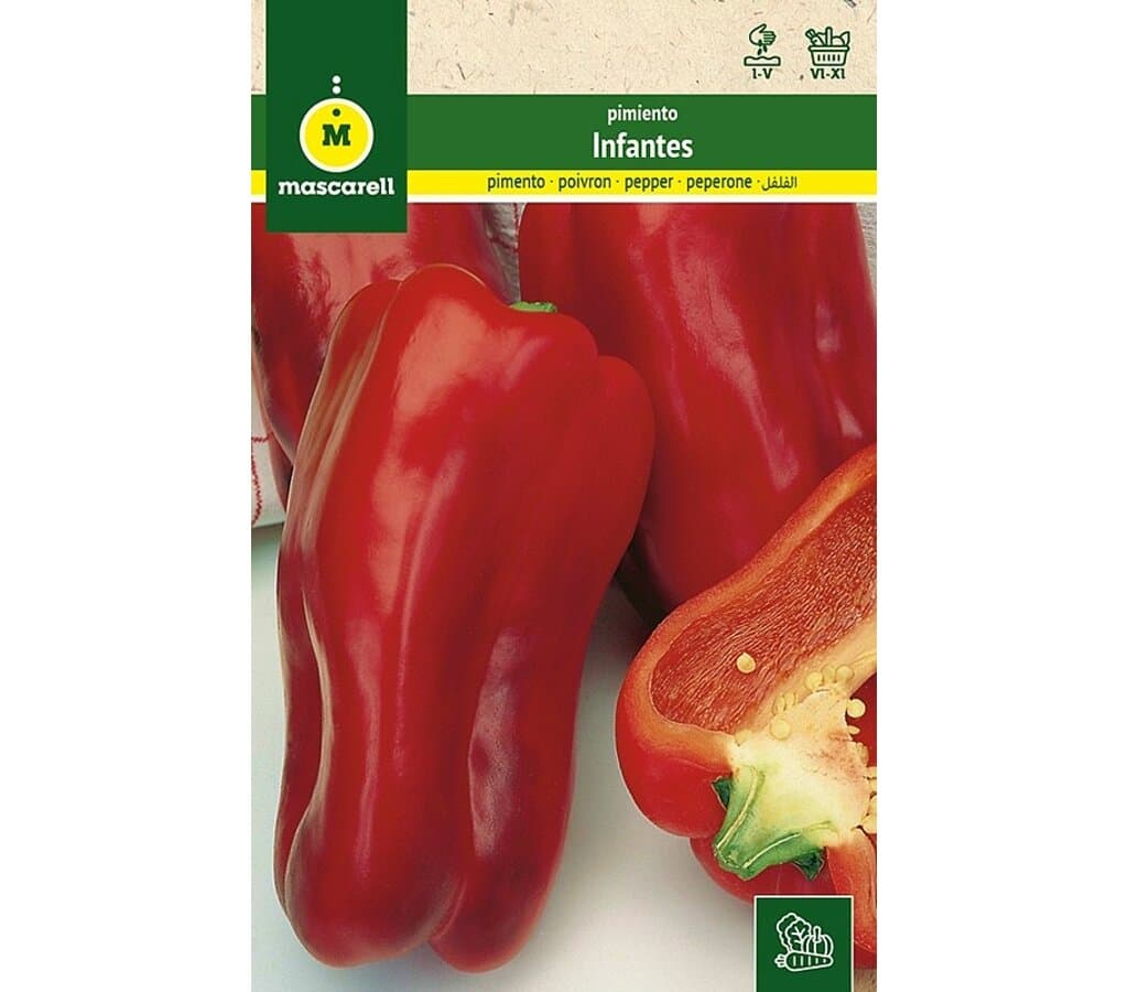 Semillas Pimiento Manchego (infantes)