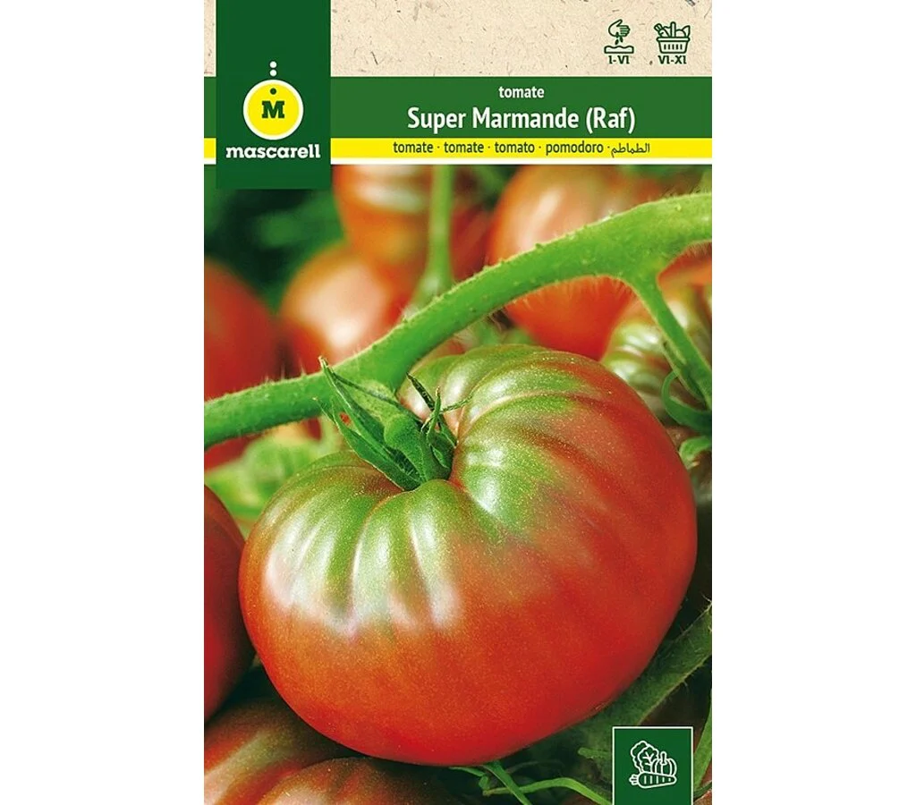 Semillas Tomate Raf (super Marmande)