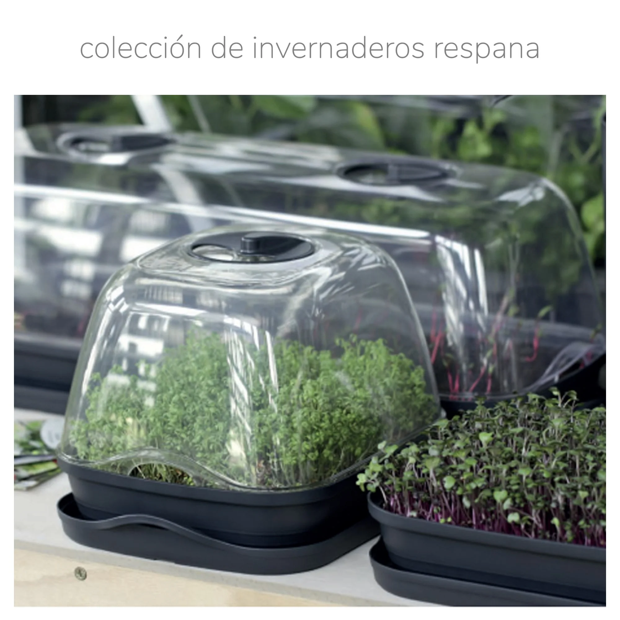 Semillero/bandeja Multiusos Respana Table Greenhouse, Dimensiones (mm) 515x196x185, Color Gris Piedra - Image 2