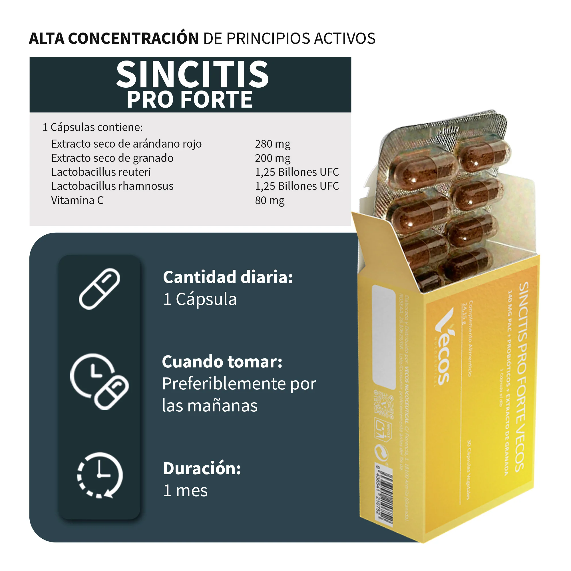 Sincitis Pro Forte Vecos 30 Cápsulas | Bienestar Femenino, Prevención De Cistitis| Arándano Rojo + Probióticos - Image 3