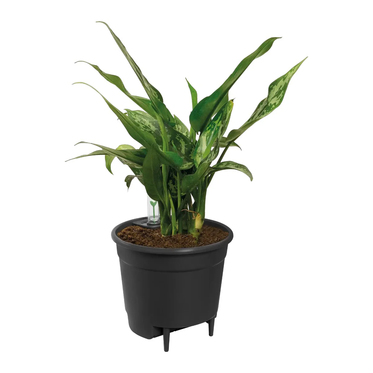 Sistema de Riego automático Elho Insert 15cm Living Black 100% reciclado - Image 2