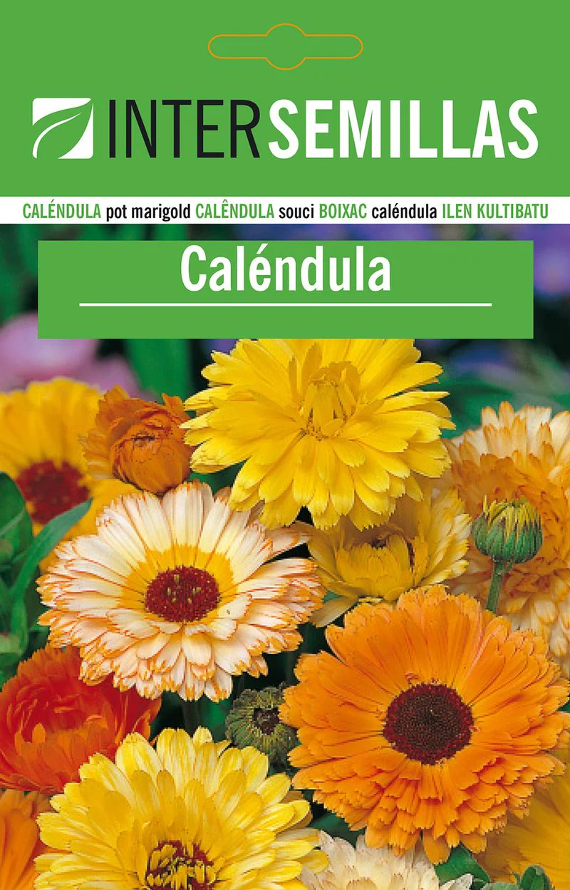 Sobre De Semillas De Calendula