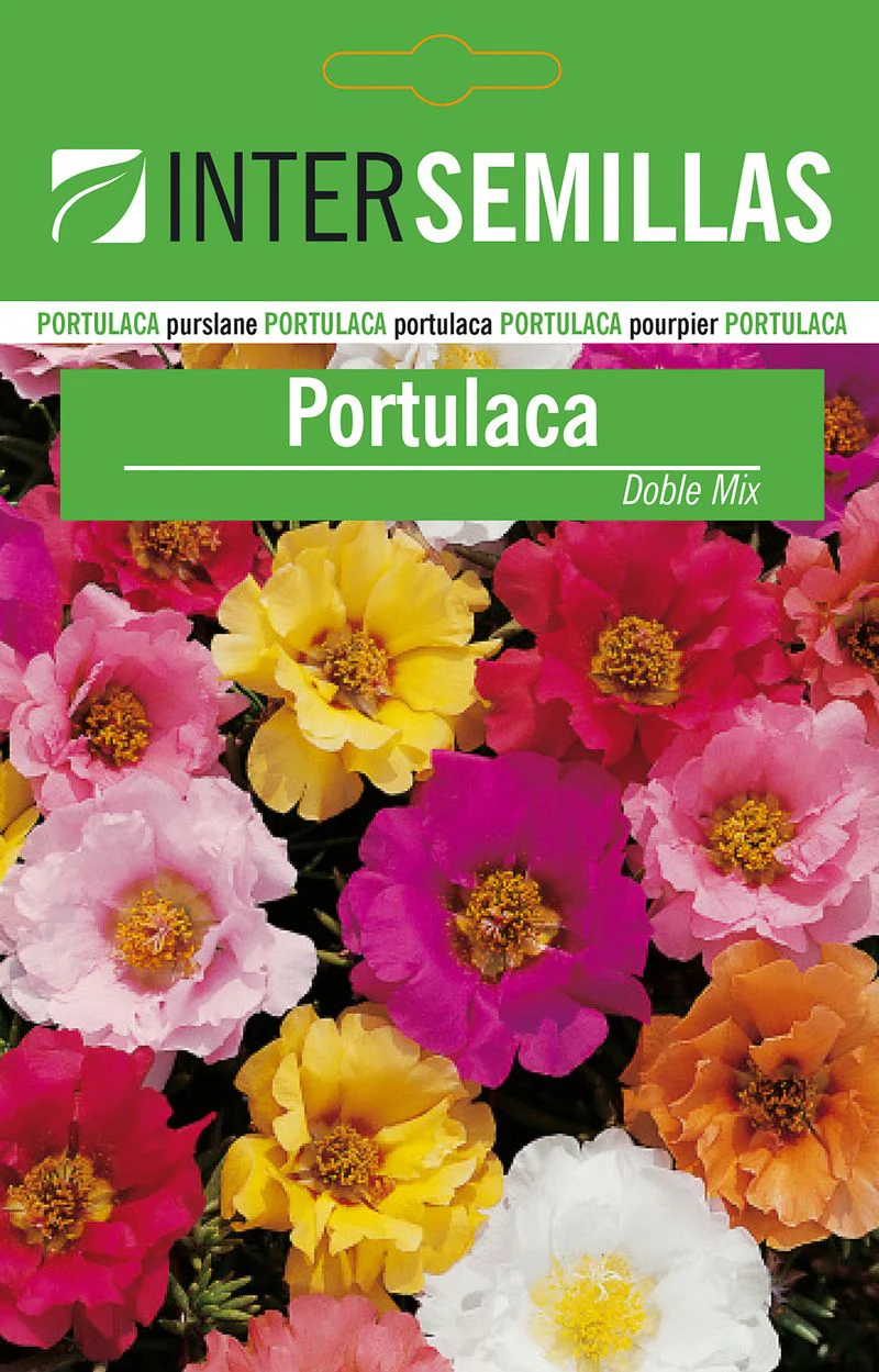Sobre Semillas Flores Portulaca Doble Mix