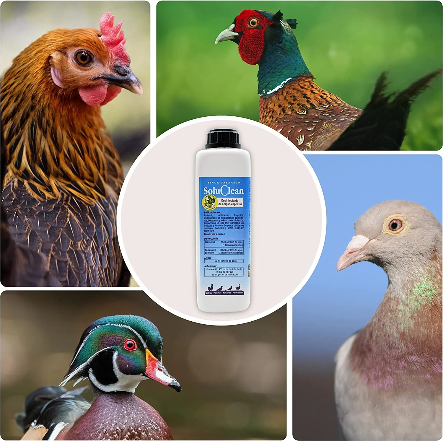 Soluclean - Limpieza De Gallineros, Perreras, Comederos Y Material - Disolver Y Limpiar Las Instalaciones (500 Ml) - Image 4