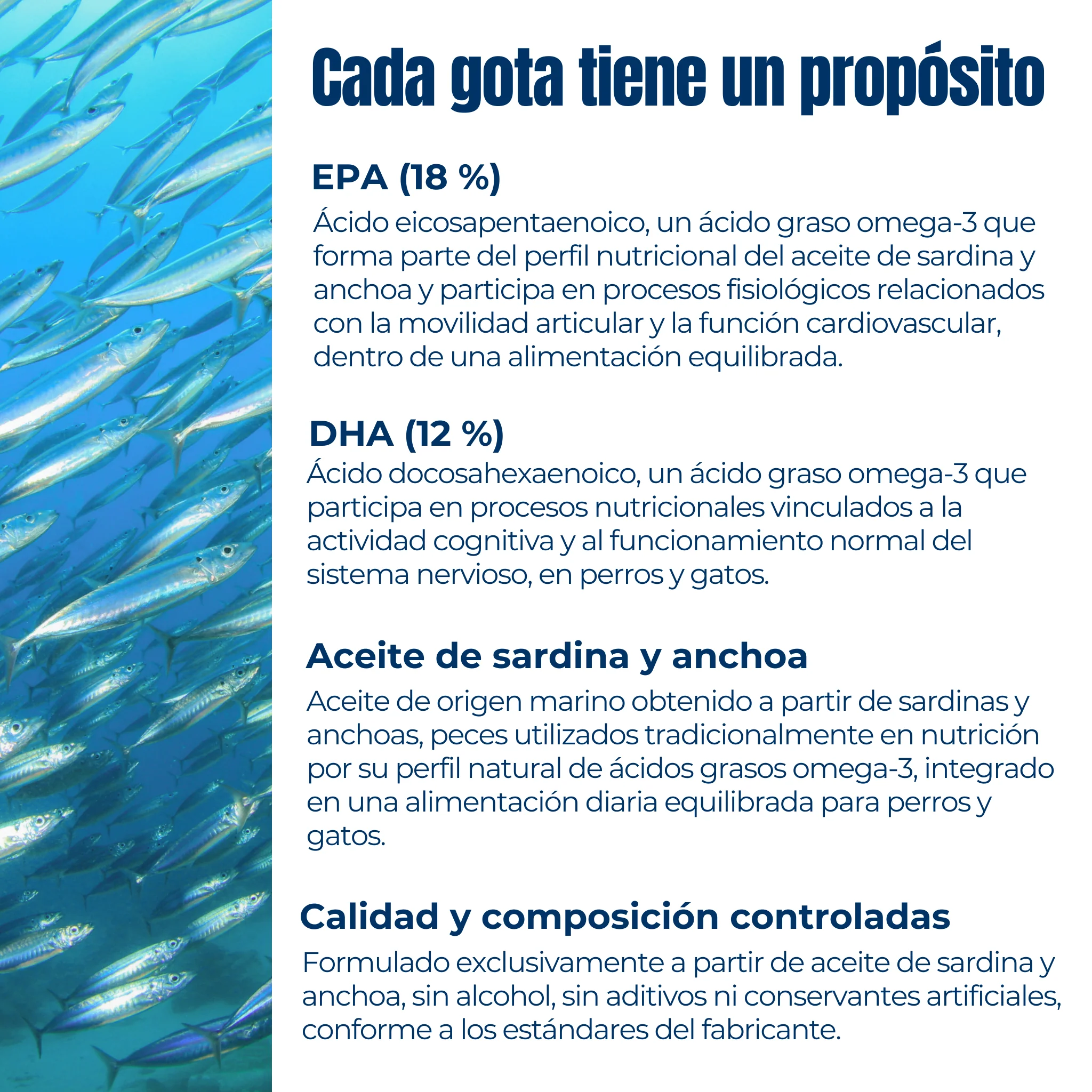 Suplemento natural Omega-3 para perros y gatos – Aceite de sardina y anchoa salvaje 200 ml - Image 4