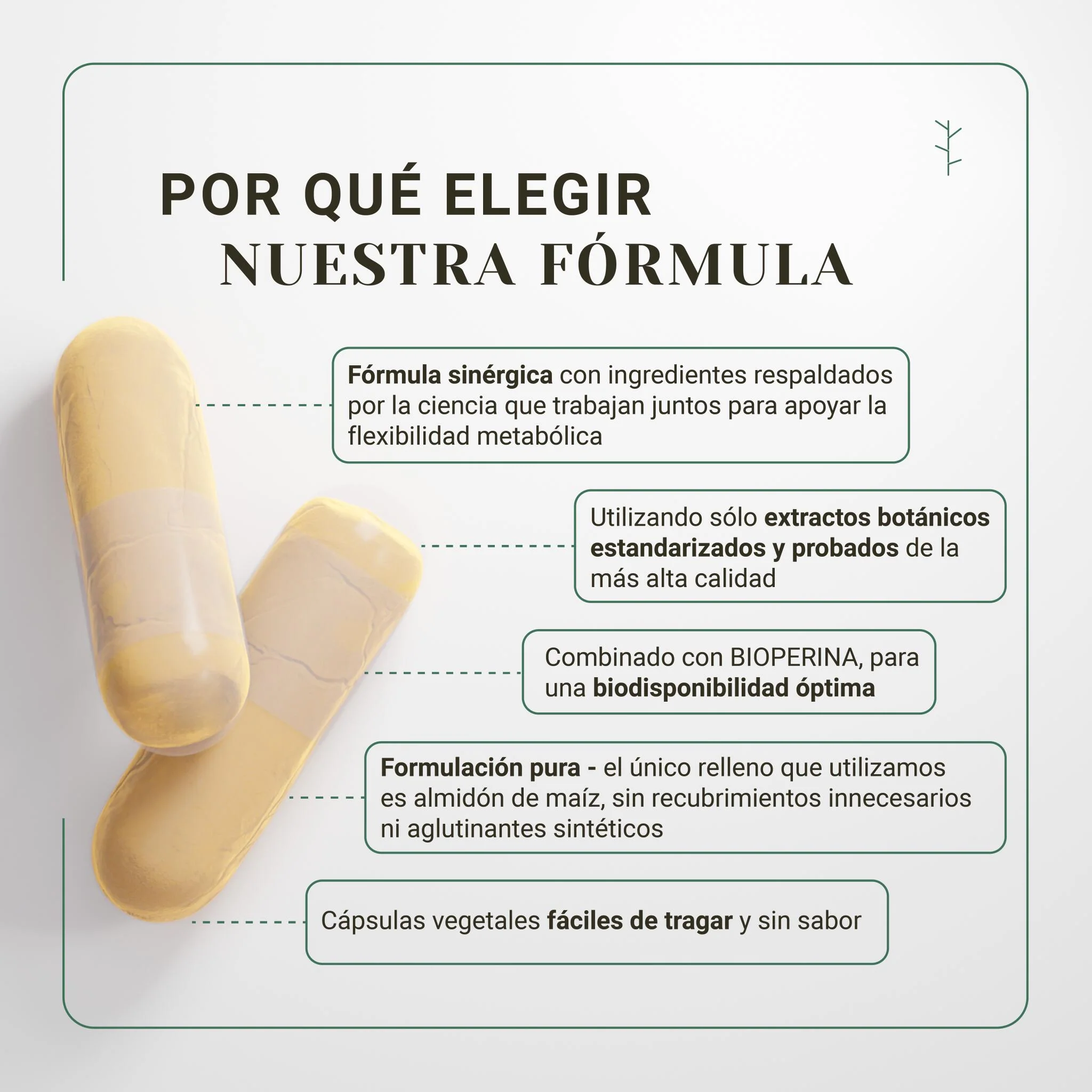Termogénico quemagrasas – adelgazante natural con té verde, cúrcuma y resveratrol (120 cápsulas) - Image 3