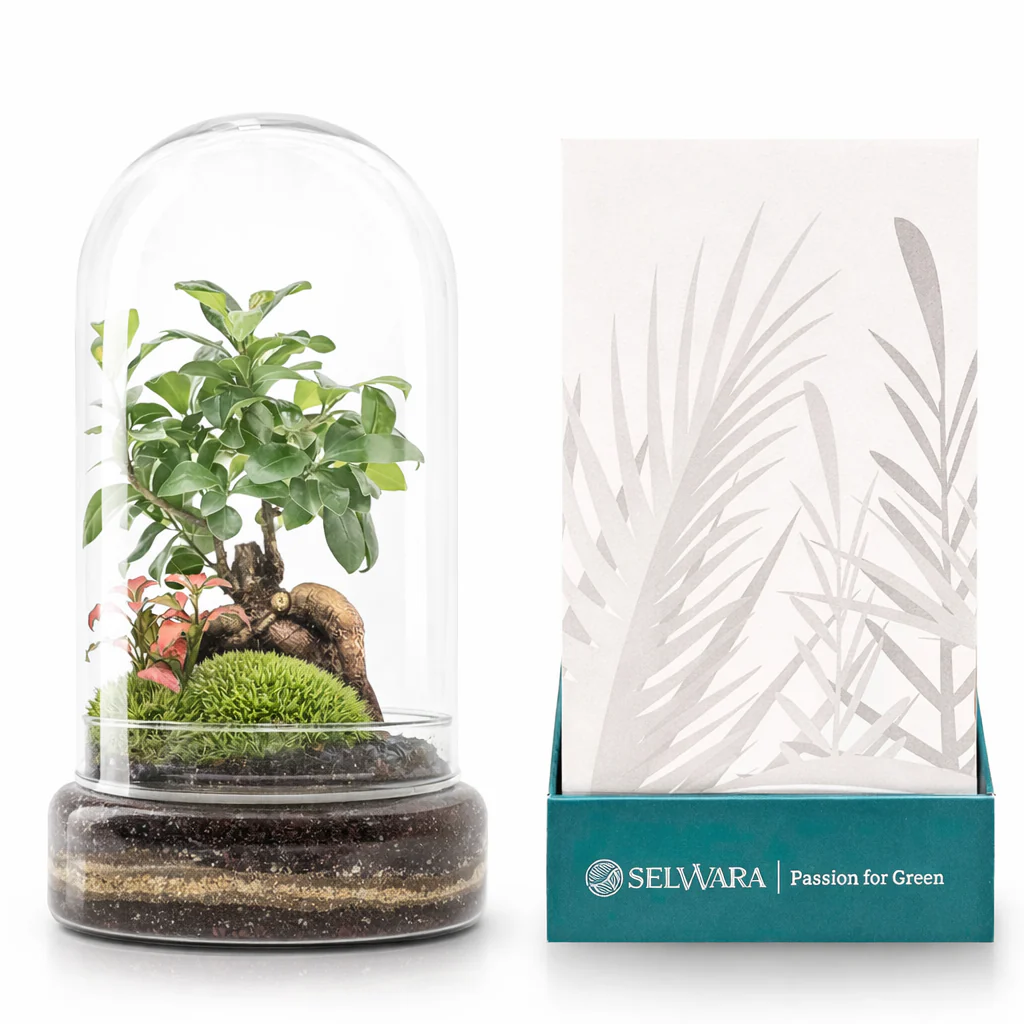 Terrario Madagascar Forest 19x36 Cm
