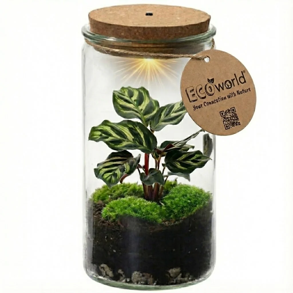 Terrario Para Mini Plantas, Ø 11 Cm: Ecosistema Cerrado En Cristal