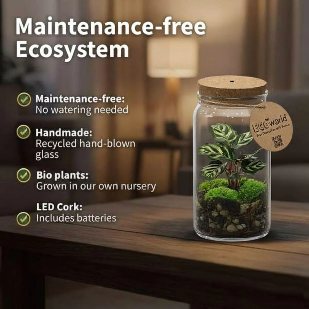 Terrario Para Mini Plantas, Ø 11 Cm: Ecosistema Cerrado En Cristal - Image 3