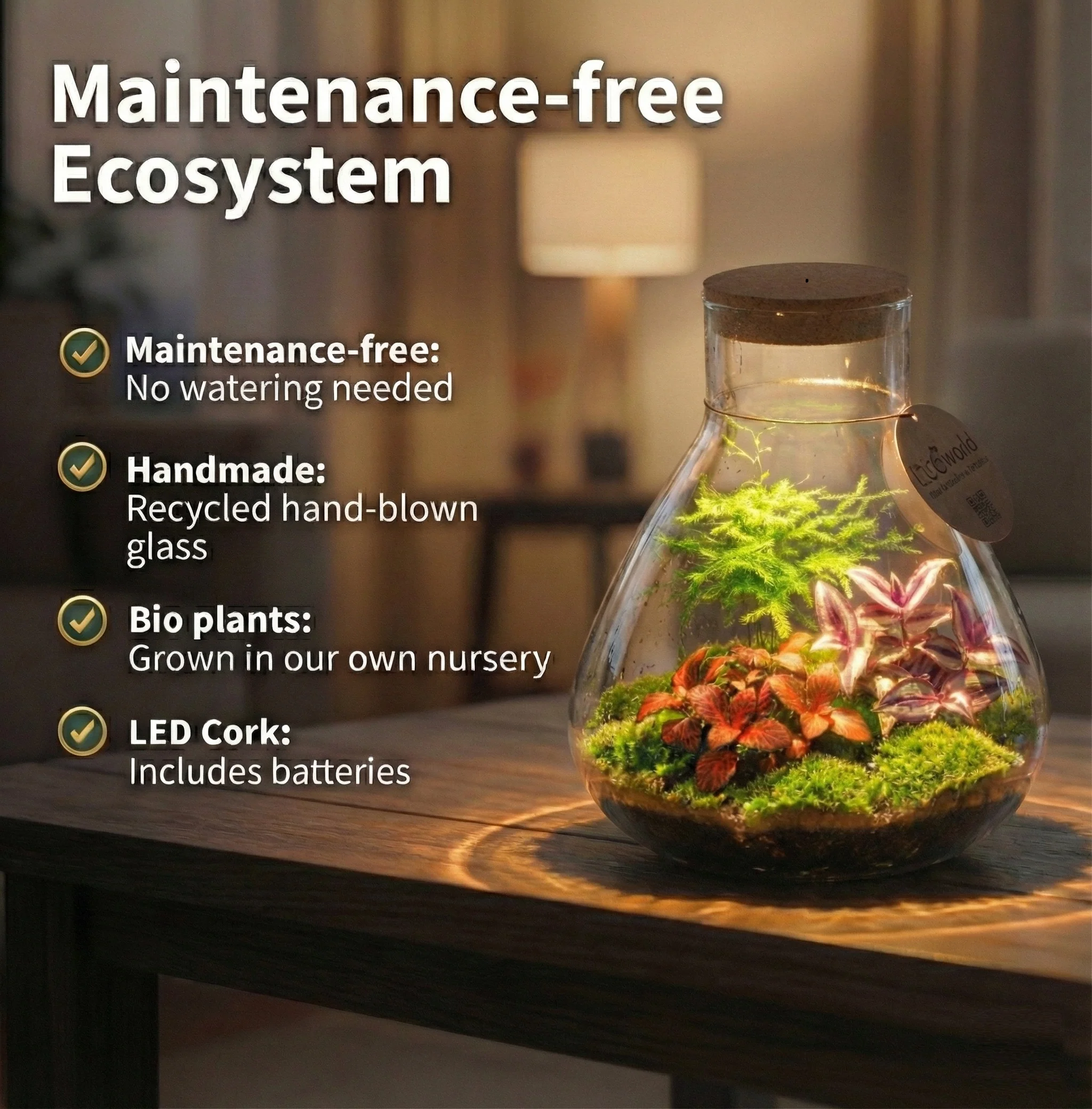 Terrario Para Plantas De 30 Cm De Diámetro - Ecosistema - Cristal - Para Montar Uno Mismo - Image 3