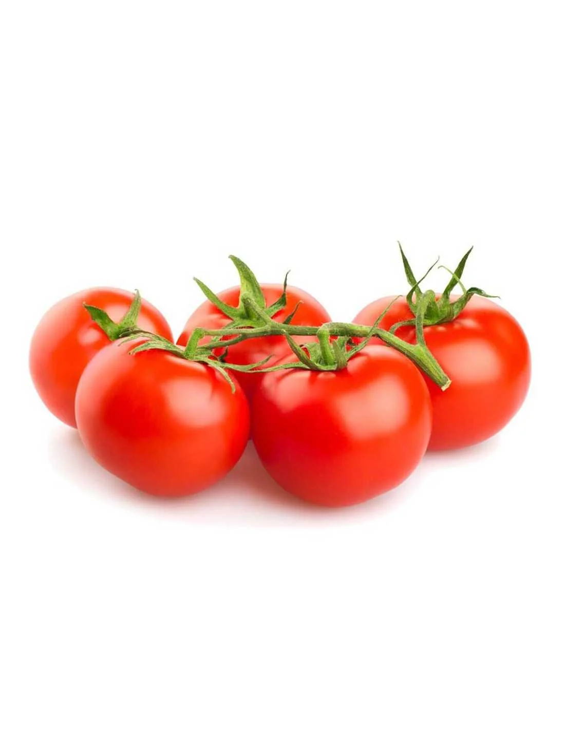 Tomate Rama Bio - 1kg